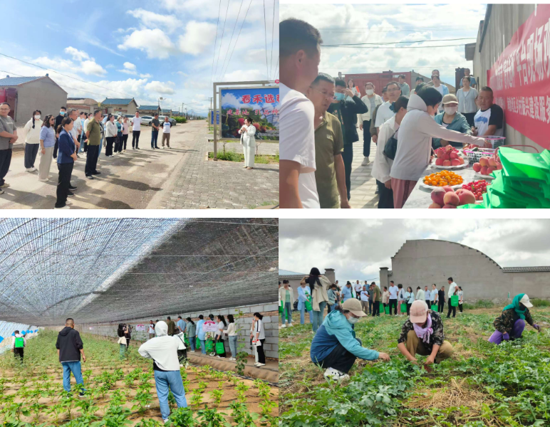 截图-2026年1月4日 17时54分57秒